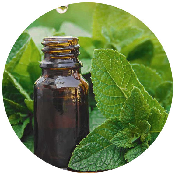 Po Sum On® Medicated Oil & Herbal Balm | Since 1907